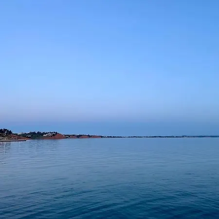 Coastal Bloom *