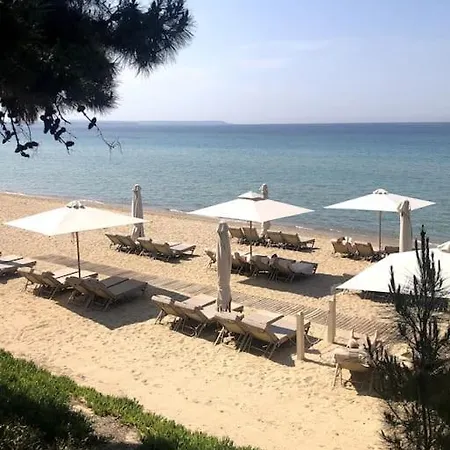 Apartment Spacious & Cosy Flat By The Sea