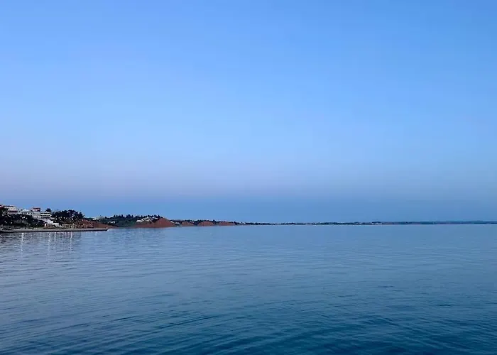 Coastal Bloom *